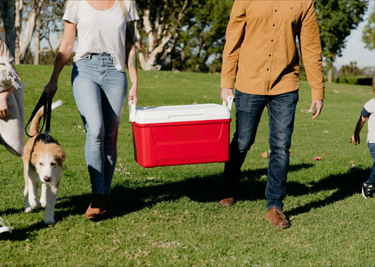 48-Quart Camping Cooler